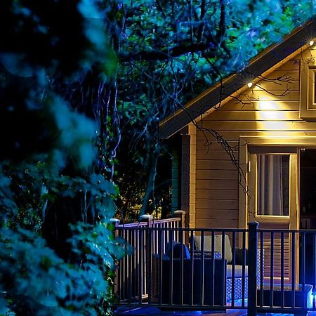 Alum Chine Log Cabin Bournemouth Exterior foto