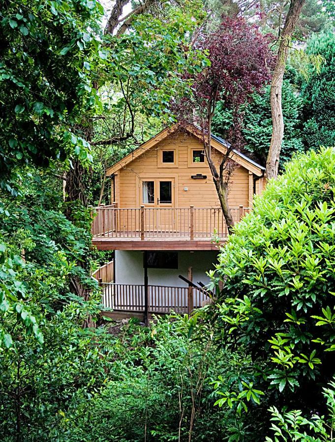Alum Chine Log Cabin Bournemouth Exterior foto